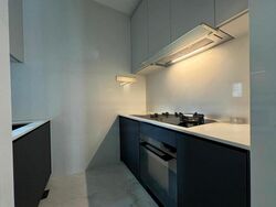 Cairnhill 16 (D9), Apartment #460496081